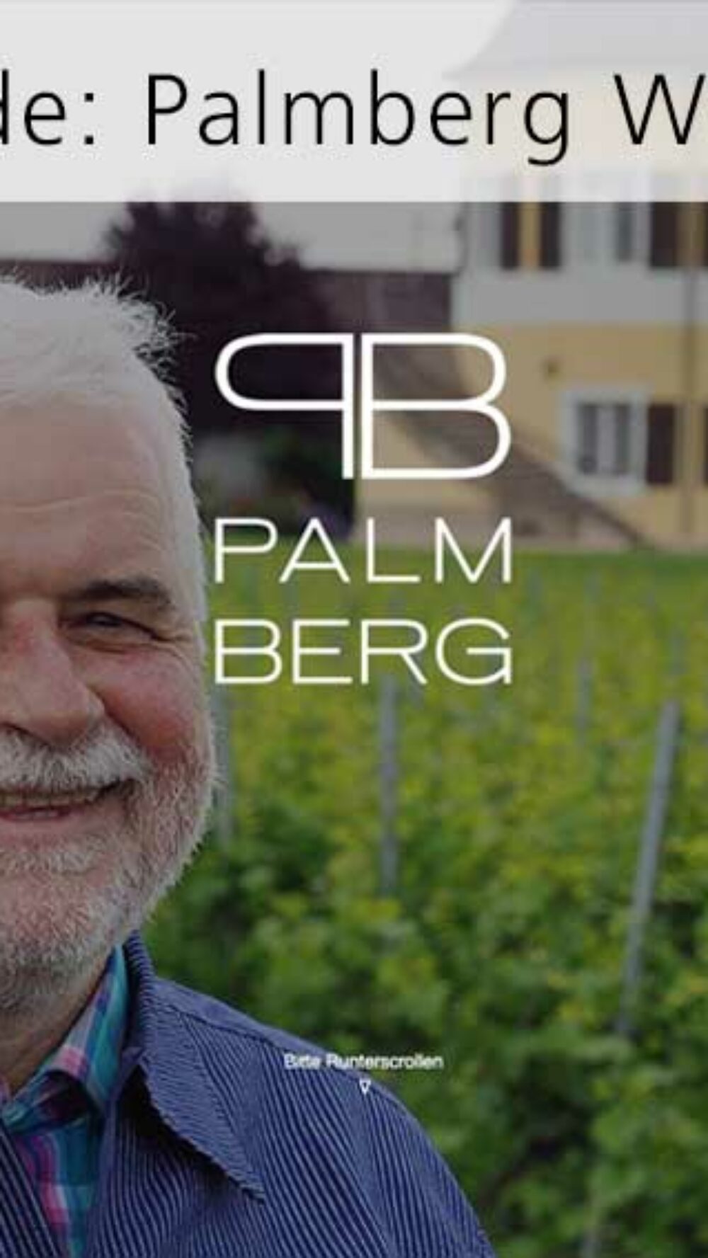 Palmberg-start